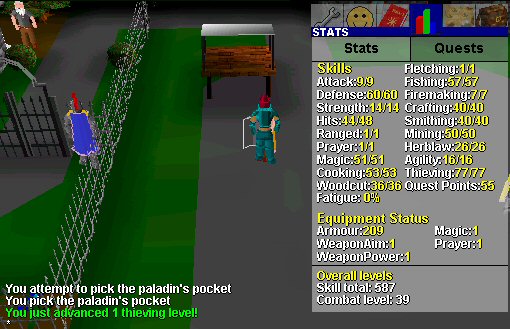 77 Thieving